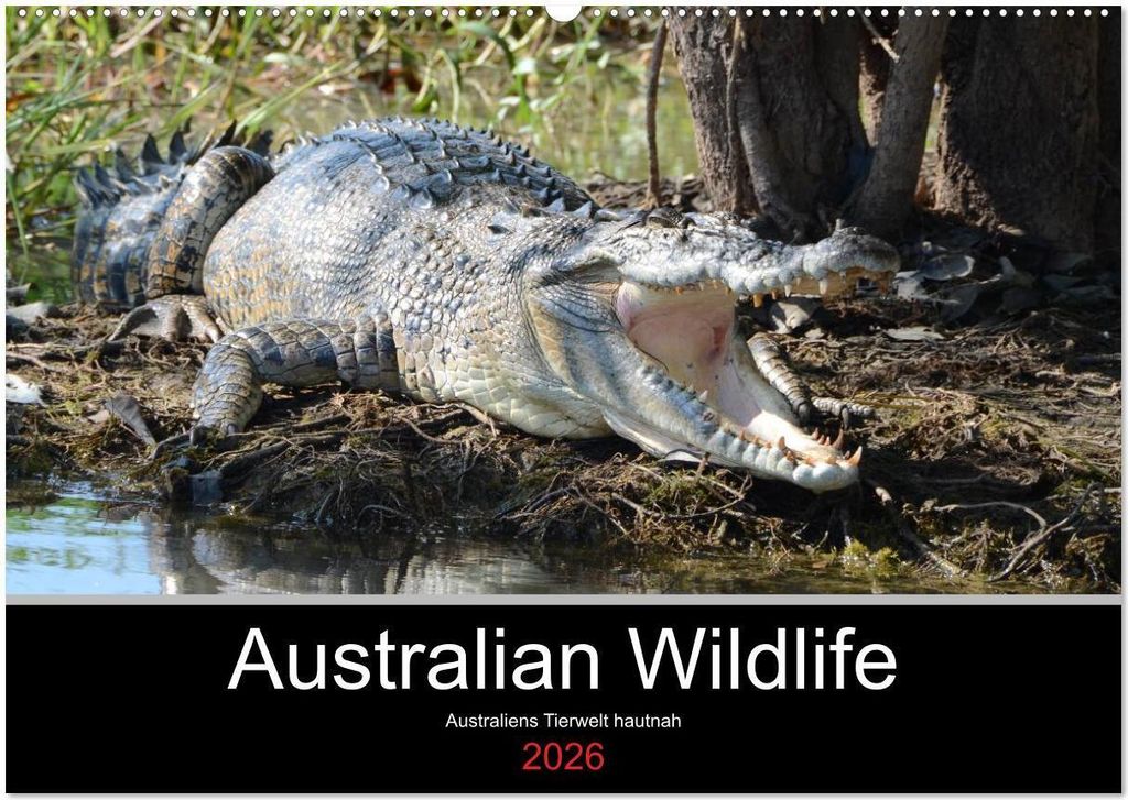 Australian Wildlife (Wandkalender 2026 DIN A2 quer), CALVENDO Monatskalender