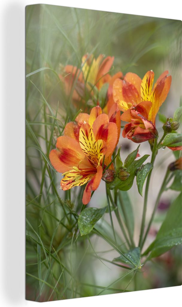 OneMillionCanvasses - Leinwandbilder - 90x140 cm, Nahaufnahme einer Alstroemeria zwischen Ziergräsern, Wandbilder Kunstdruck Wanddekoration - Wa...