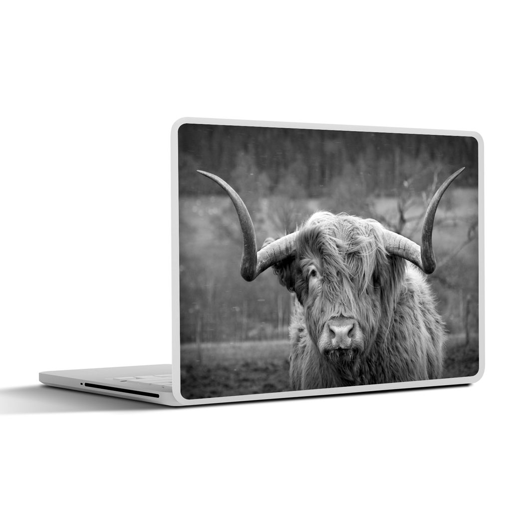 MuchoWow Laptop Aufkleber Sticker Cover Schottischer Highlander - Kuhkopf - Landschaft - Natur - Kuh 30x22 cm - Laptop-Sticker
