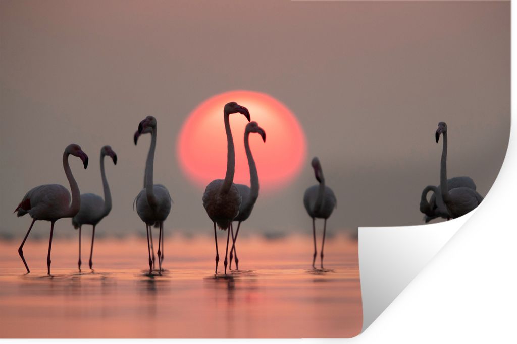 MuchoWow Wandtattoo Wandsticker Wandaufkleber Vogel - Flamingo - Sonnenuntergang - Rosa 60x40 cm Selbstklebend und Repositionierbar - Wierderverw...
