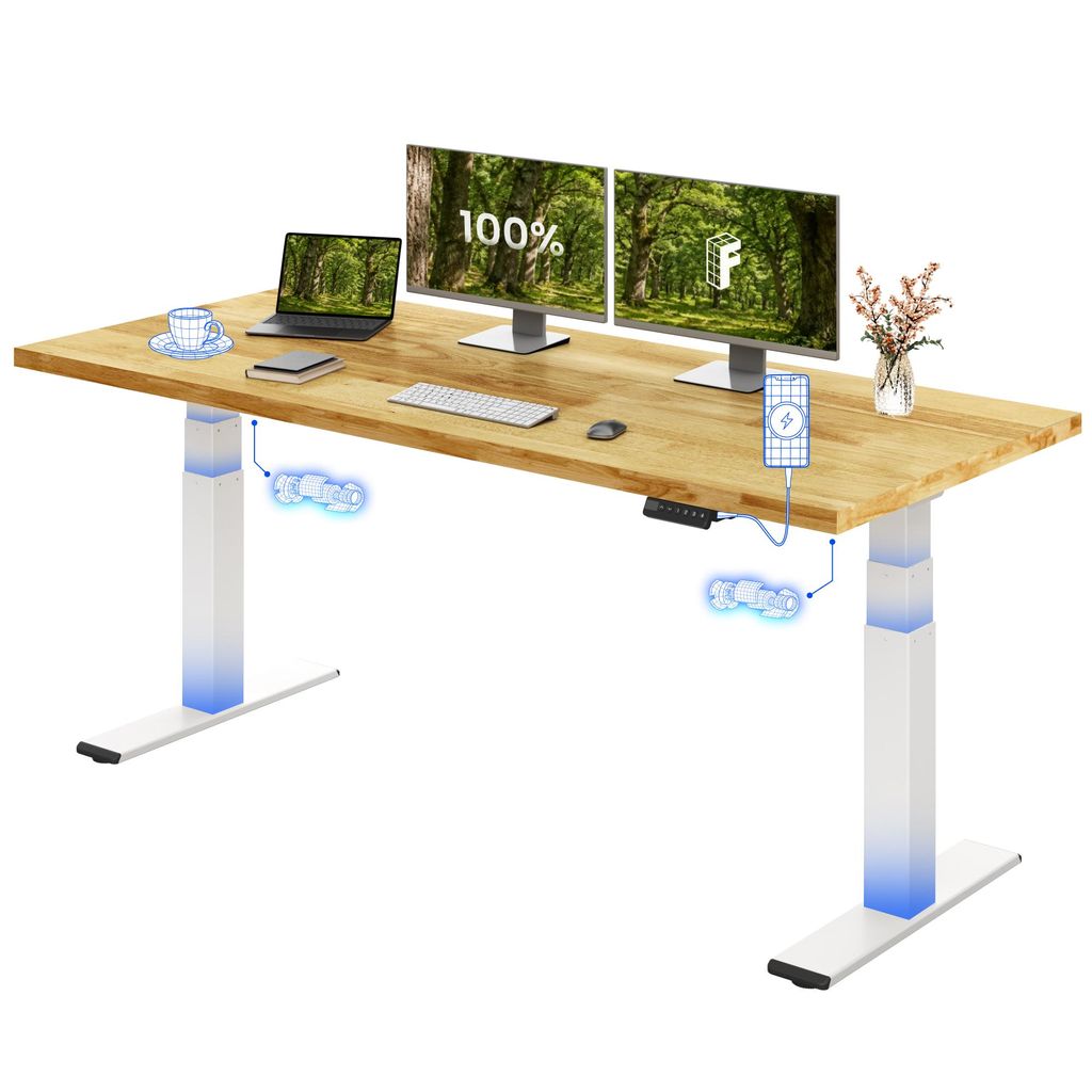 FLEXISPOT ValtreX E200 Höhenverstellbarer Schreibtisch Produktbild 