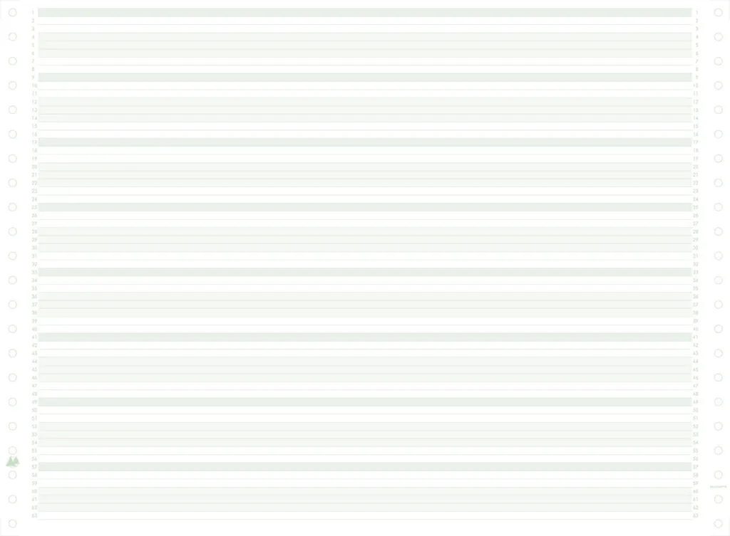 Listing Informatique Zoné Vert 70g Exacompta 66311E 380x11 2000 Pages