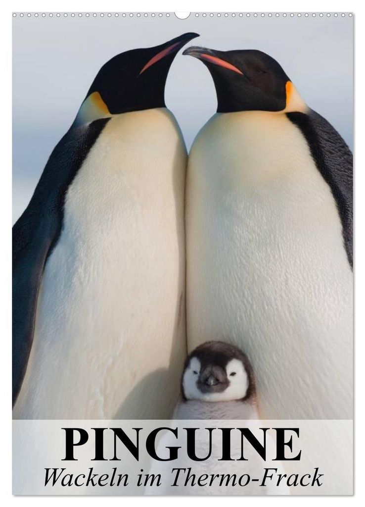 Pinguine - Wackeln im Thermo-Frack (Wandkalender 2027 DIN A2 hoch), CALVENDO Monatskalender
