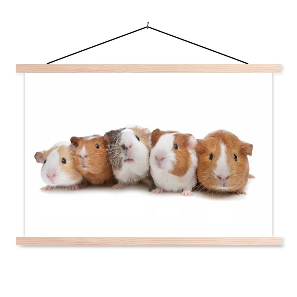 MuchoWow Textilposter Fünf Meerschweinchen in einer Reihe 120x80 cm mit holzfarbenen Rahmen - Aufhängeset