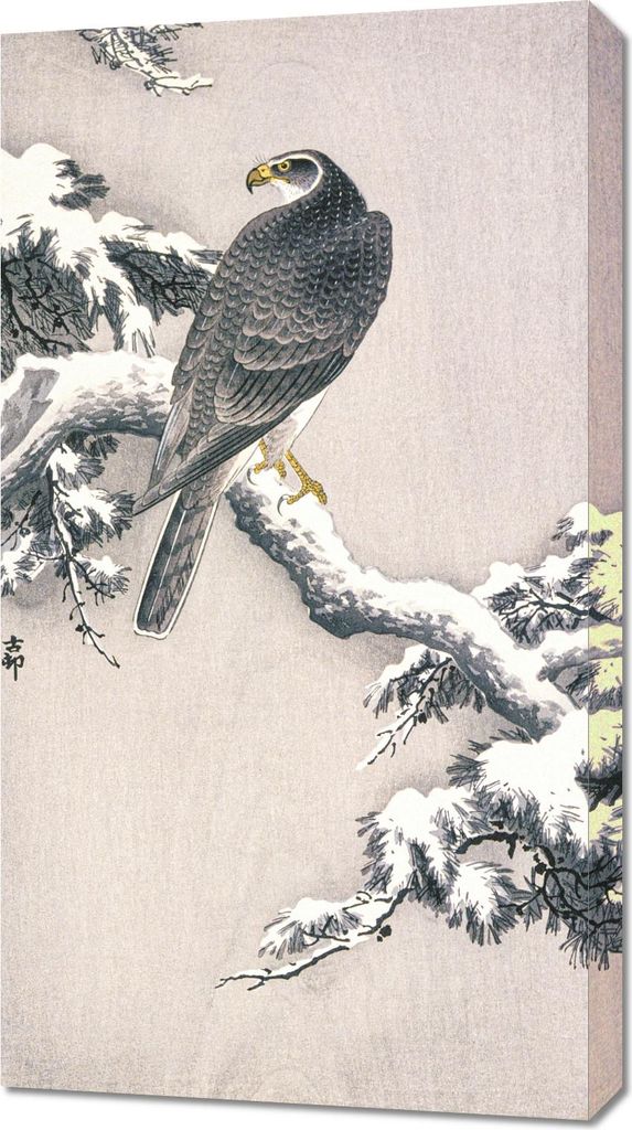 Bild 50x90cm Habicht auf Schnee, Japanische Koson Vintage für Wohnzimmer