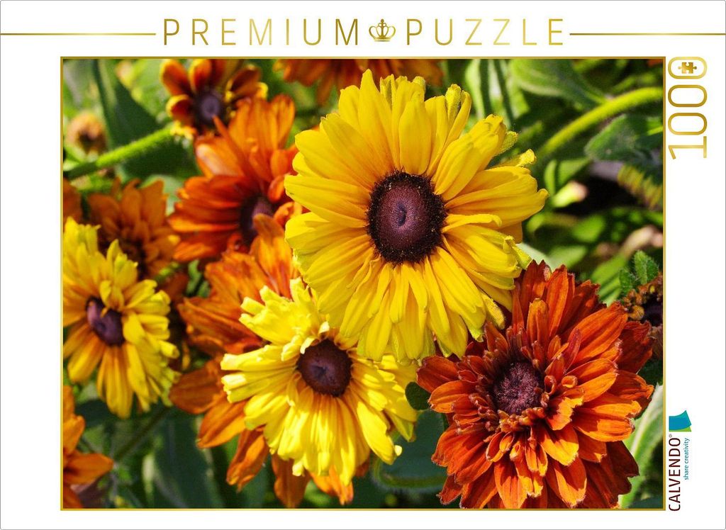 CALVENDO Puzzle Rudbeckie oder Rauer Sonnenhut | 1000 Teile Lege-Größe 64x48cm Foto-Puzzle für glückliche Stunden