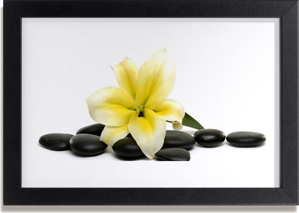 Bild 30x20 MDF-Rahmen Wandkunst Blumen-Stones-Kunst Produktbild 
