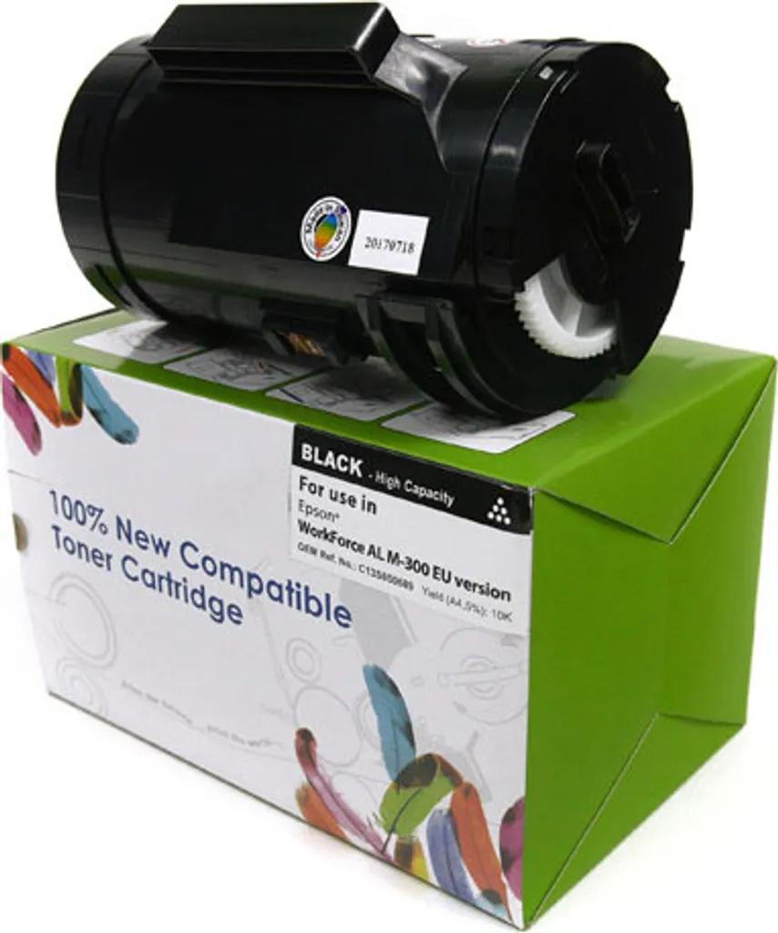Toner noir Epson M300 haute précision C13S050691 pour entreprise