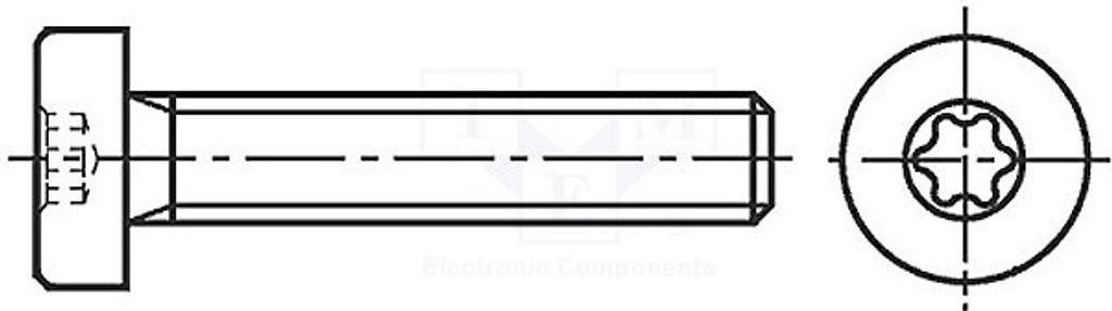 100x Schraube 0,7 Torx TX20 M4x10 Kopf: Zylinder A2 Edel 3108723 Schraubenbolzen