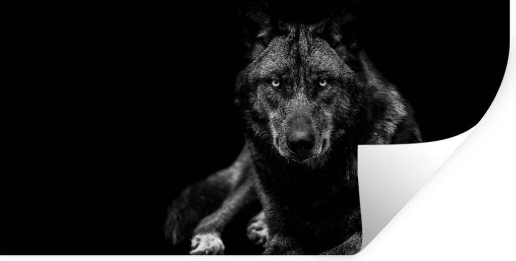 MuchoWow Wandtattoo Wandsticker Wandaufkleber Tiere - Wolf - Schwarz - Weiß - Porträt 40x20 cm Selbstklebend und Repositionierbar - Aufkleber