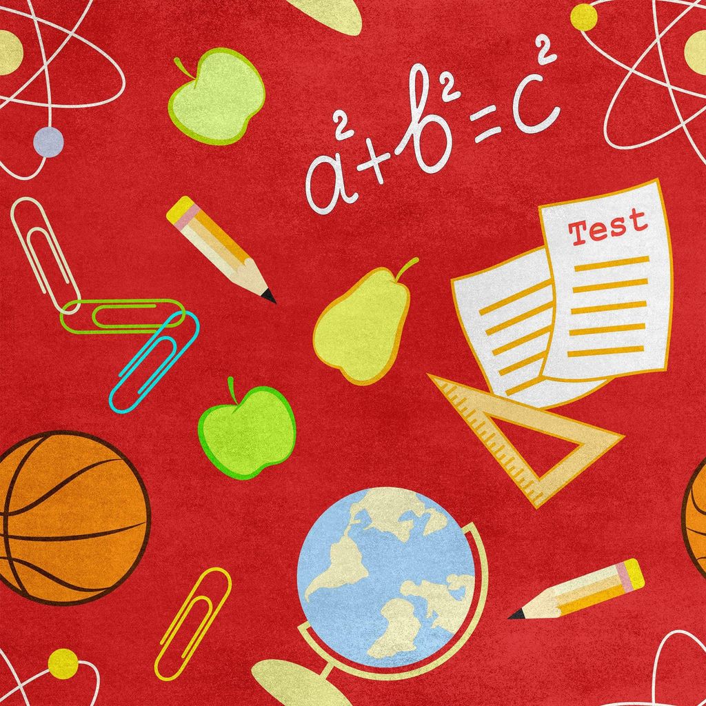 Royal Samt Stoff Polyester Zum Nähen - Motiv Schule