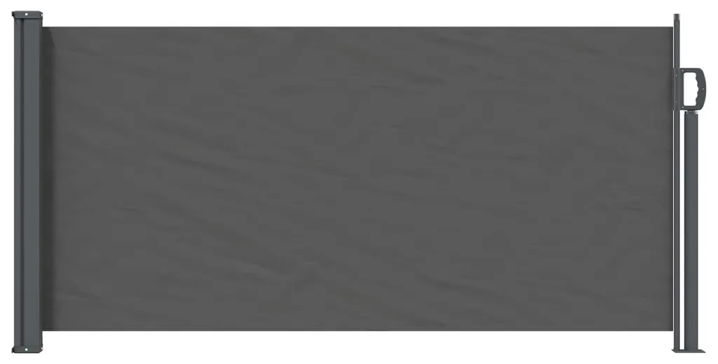Store latéral de jardin anthracite 300x100 cm rétractable pour balcon