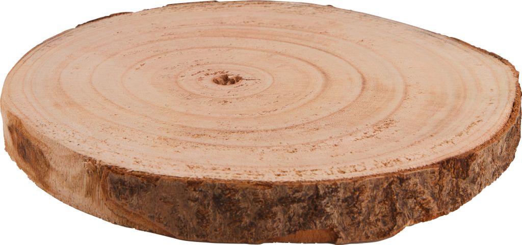 5x Sparstrumpfscheiben Aus Buche – Mit Schlitz, 5,5 Cm Durchmesser, Naturbelassen