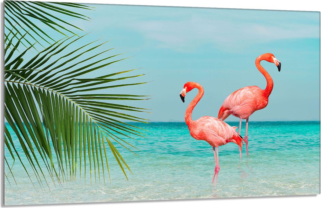 Glasschutzplatte für den Herd 80x52 Flamingo