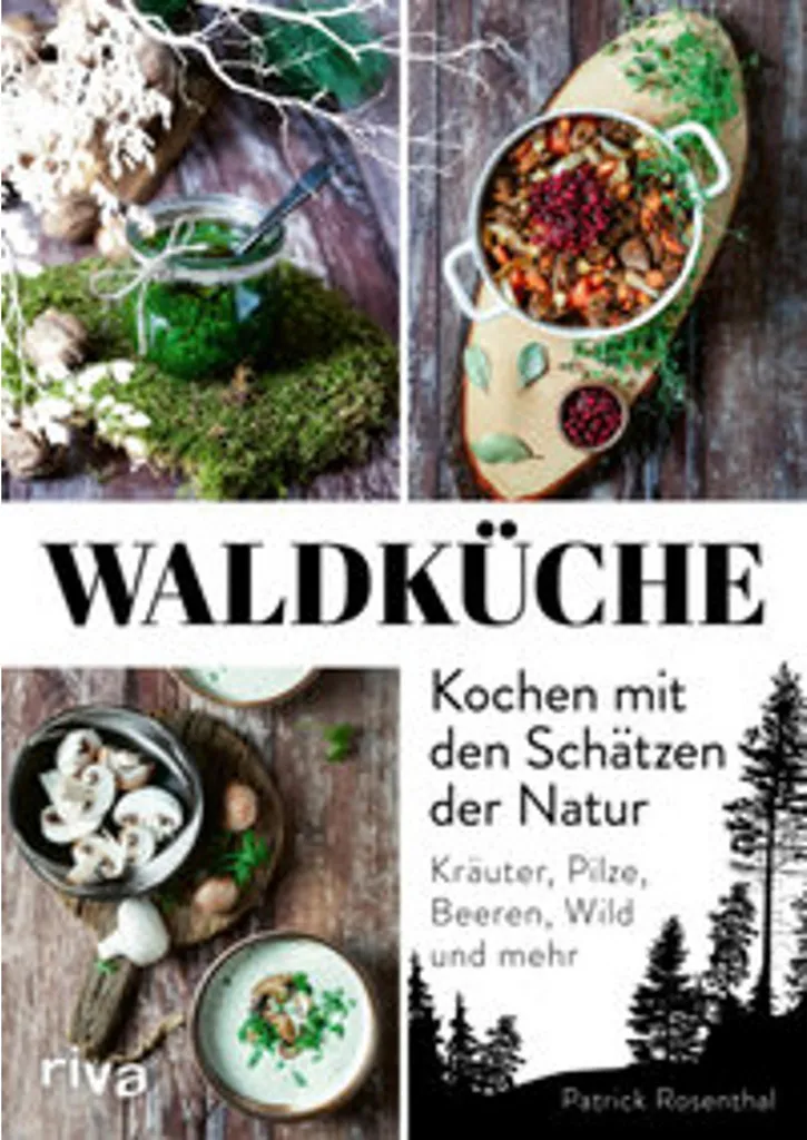 Waldküche : cuisine sauvage au feu de bois et trésors de la nature brute