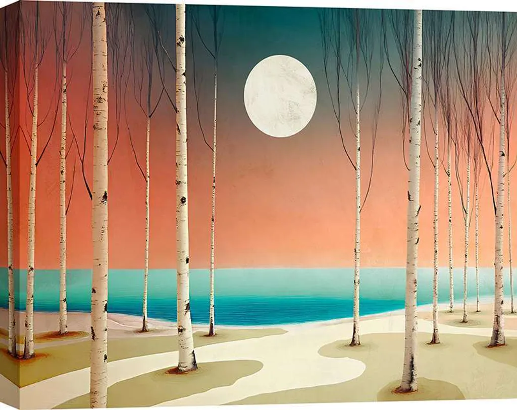 Specifiche Quadro Sayaka Miko 60x40 - Tela Fine Art Paesaggio Nordico