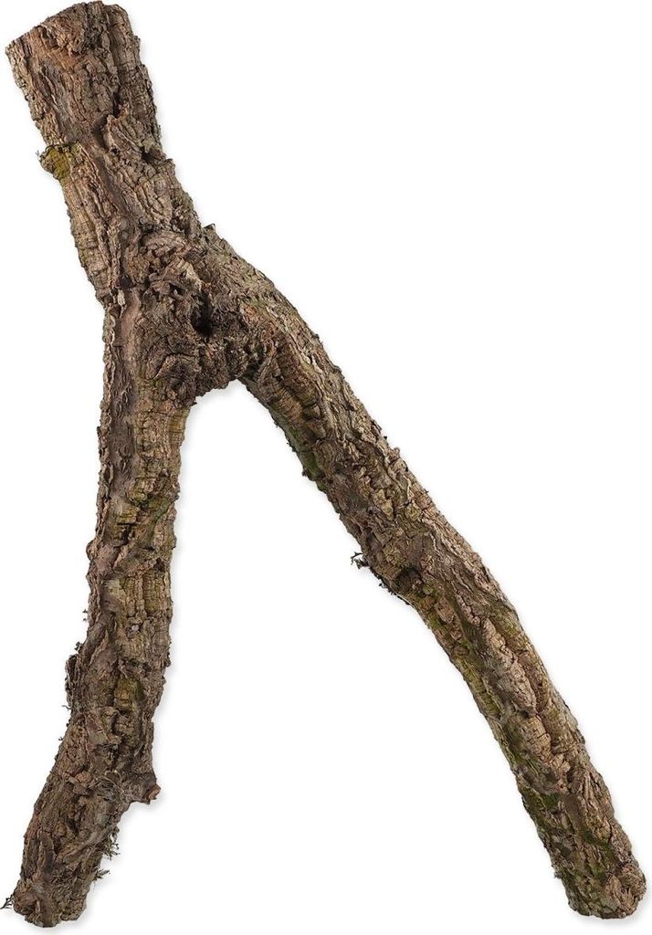 Dekoration Repti Planet Kork Zweig M 30-60 cm