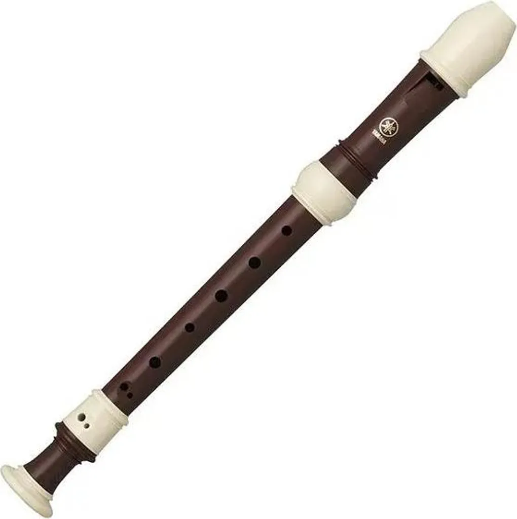 Yamaha YRS 322B Flûte idéale pour conservatoire et pratique solo