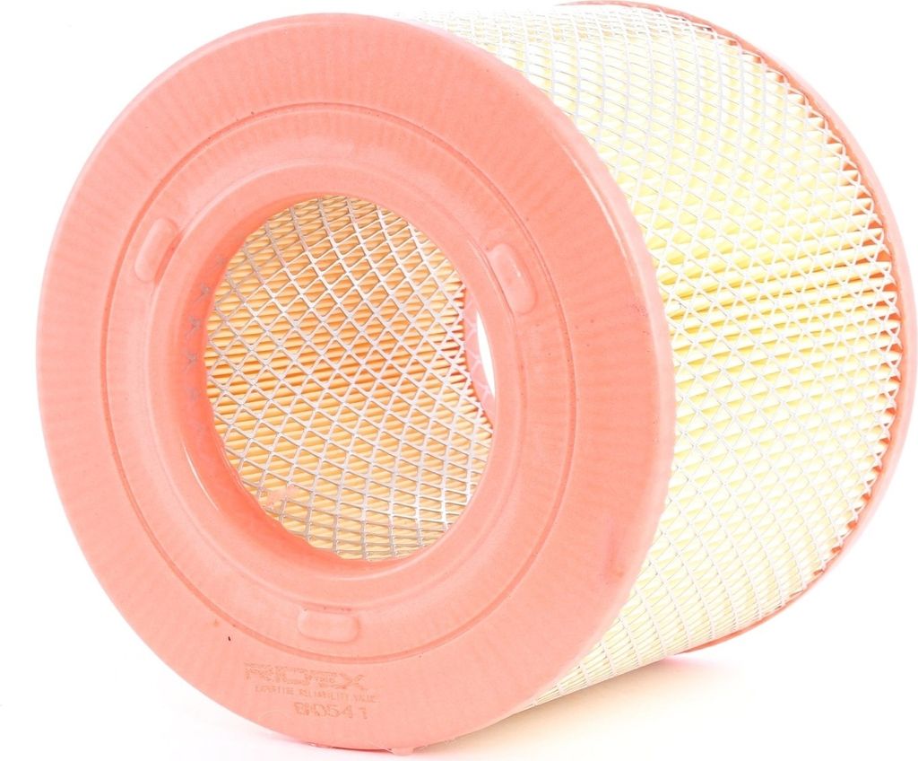 RIDEX 8A0541 - OE 5025068 Luftfilter für Megane I, Megane Scenic, Scenic I