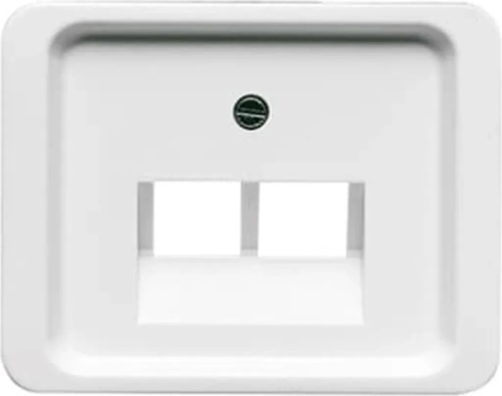 Plaque Centrale Double Busch-Jaeger 1803-02-24G pour Rénovation BBC