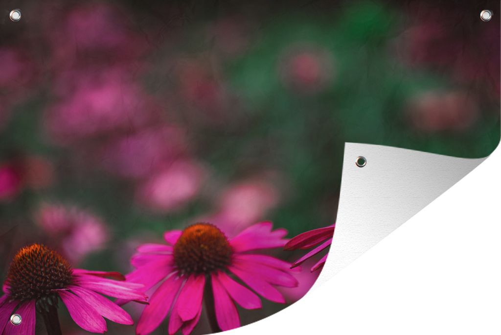 MuchoWow 90x60 cm Outdoor-Poster Gartendeko Sichtschutz Garten Poster für den Garten Rosa Dahlien