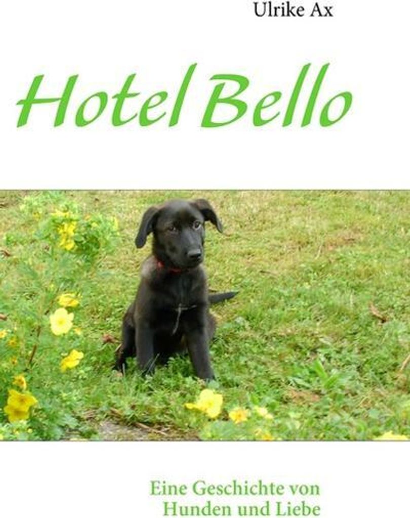 Hotel Bello