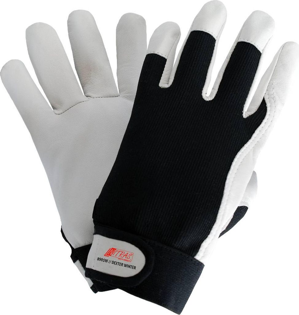 Arbeitshandschuhe | Nitras Dexter Winter Winterhandschuhe | Produktbild 