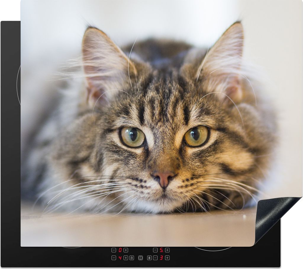 KitchenYeah Herdabdeckplatte Katze - Fell - Augen , 59x52cm, Küche Deko, Glaskeramikkochfeld Herdabdeckung, Abdeckplatte fùr Kochfeld