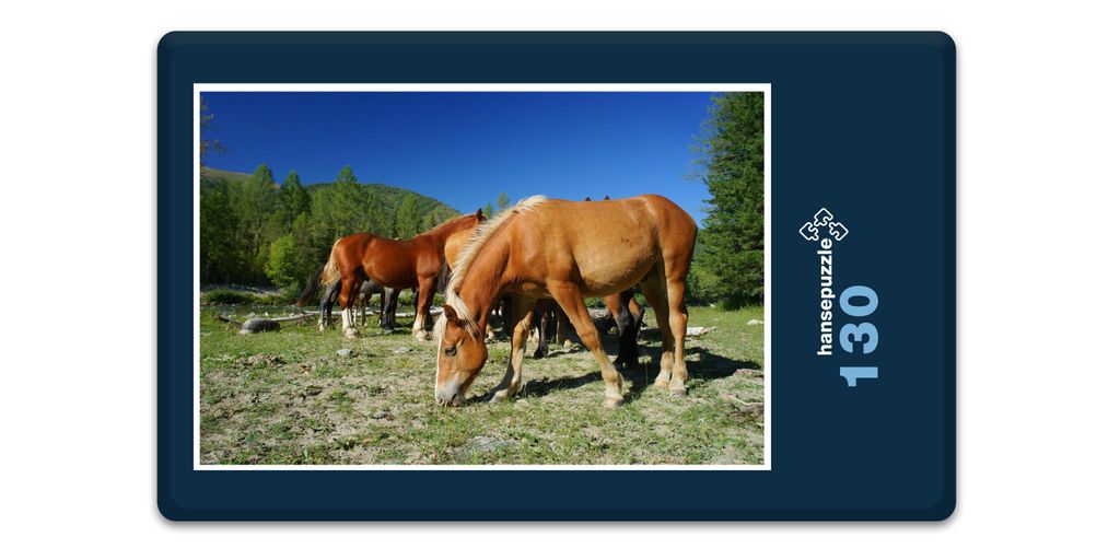 hansepuzzle 16844 - Pferde auf Koppel Puzzle, 130 Teile, Tierwelt, 28,7 x 20,0cm mit hochwertiger Aufbewahrung, Kartonbox & Beutel