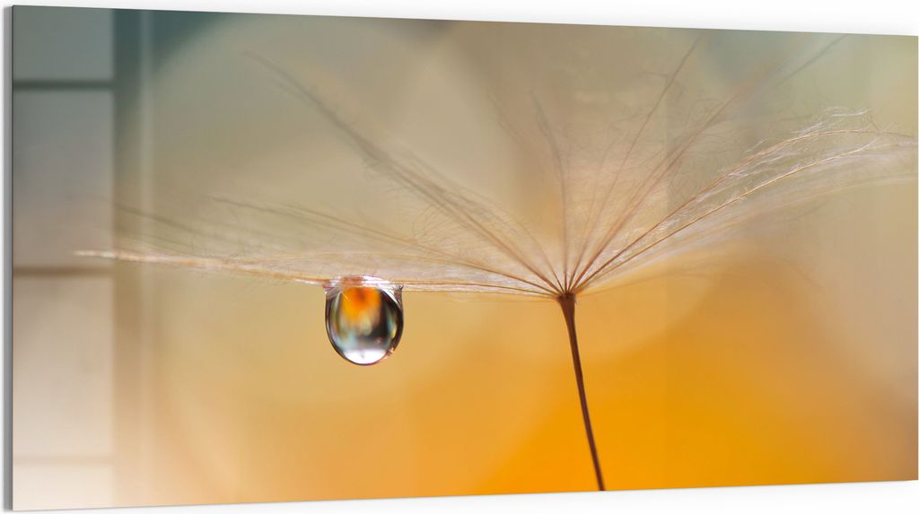 DEQORI Glasbild Echtglas 100x50 cm 'Träne des Morgens' Wandbild Bild modern Deko