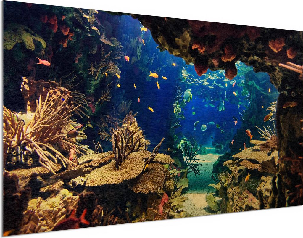 DEQORI Alu-Dibond Bild Gold 100x50 cm 'Exotisches Aquarium' Wandbild Metall dünn Design