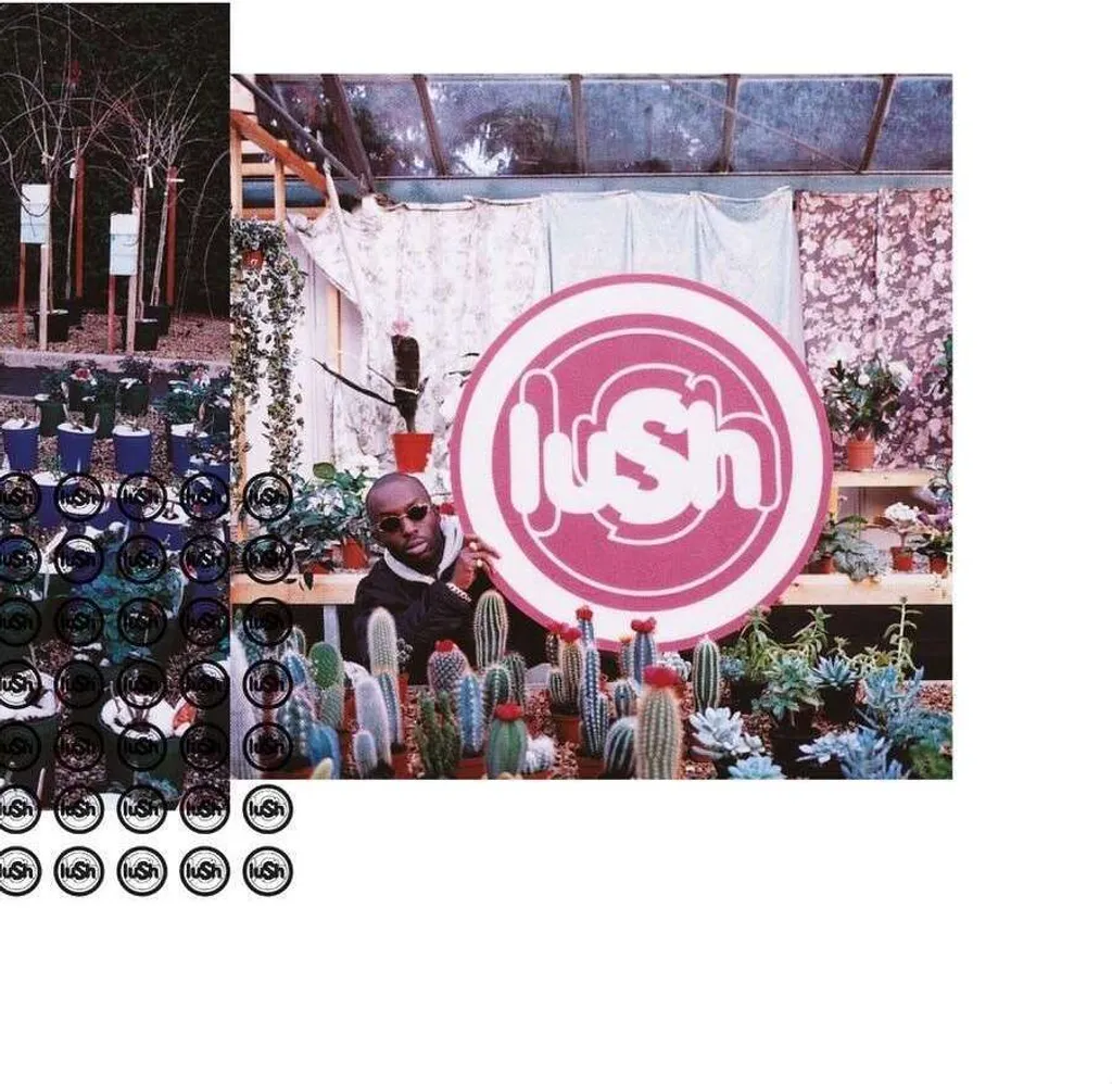 Disque Vinyle Lush Lovelife Remastered LP - Album Rock Indé 12 Pouces