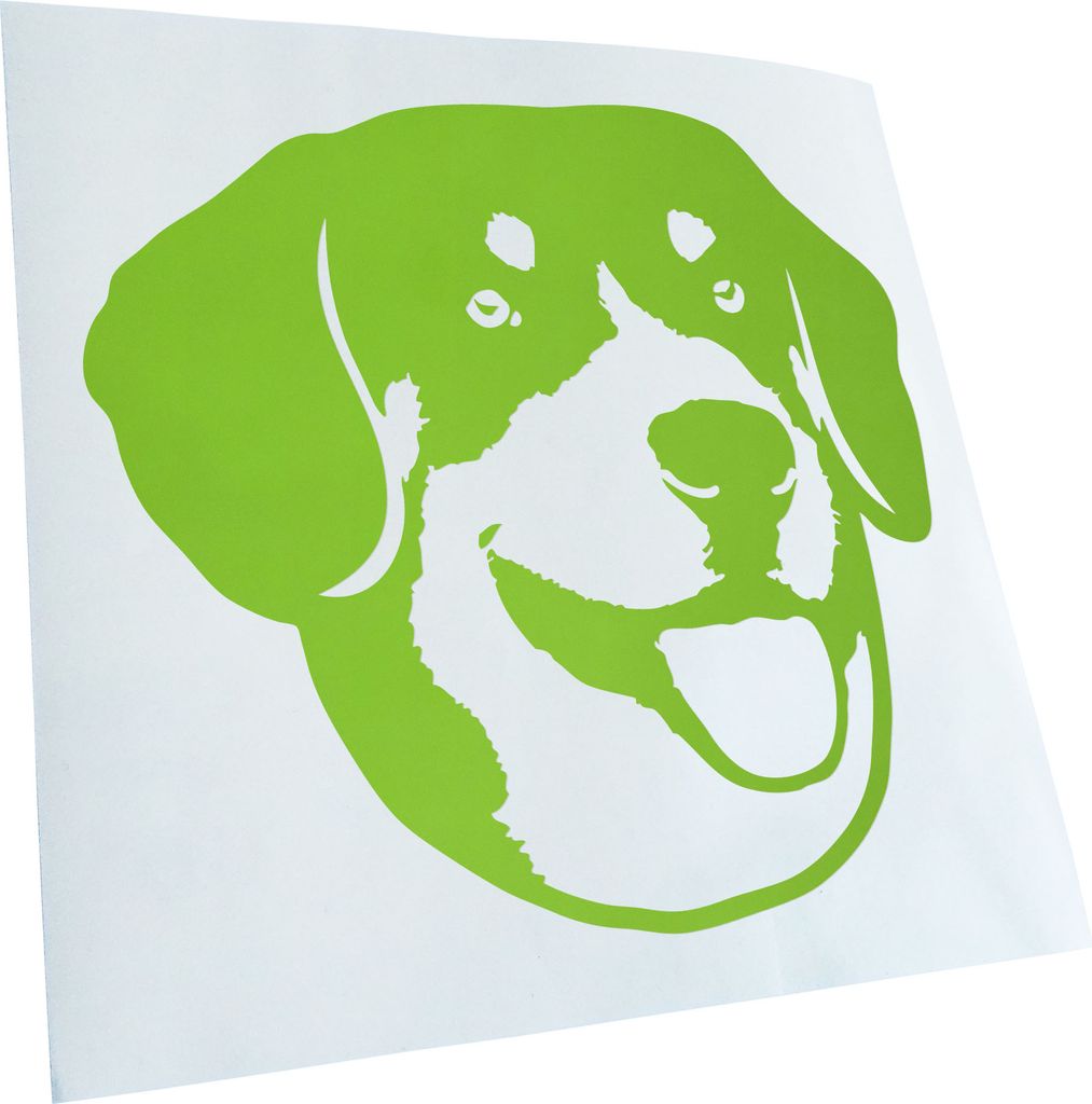 Kiwistar - Autoaufkleber - English bucher mountain dog - Lindgrün - 30x27cm - Aufkleber für Auto, Laptop, Fahrrad, LKW, Motorrad mehrfarbig JDM D...