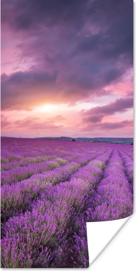 MuchoWow Poster Lavendel - Lila - Wolken - Blumen 40x80 cm - Dekoration