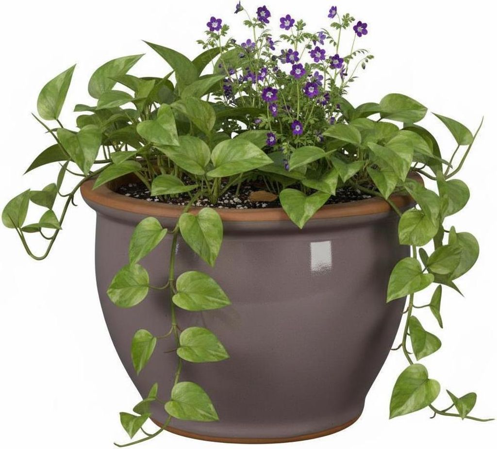 Blumentopf Pflanzgefäß aus Keramik Modell "Roma" 30cm Lavendel