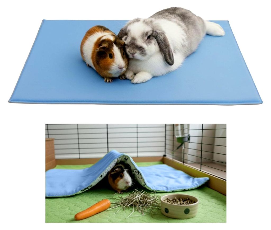 Fleece-Spielplatzmatte für Meerschweinchen und Kaninchen - Eine Decke, ein riesiger Tunnel, ein Haus, ein Kissen und ein Bett - 60 cm x 120 cm - Blau