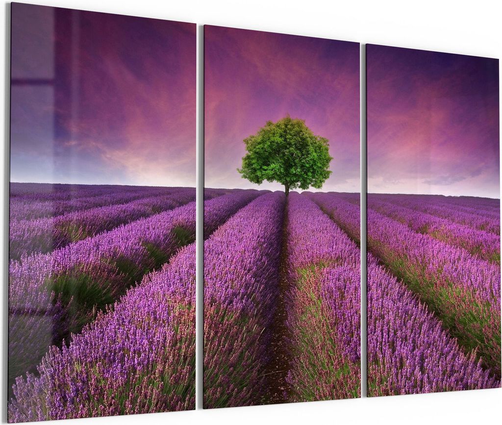 DEQORI Glasbild Echtglas 3x50x100 cm 'Baum in Lavendelreihen' Wandbilder XXL groß