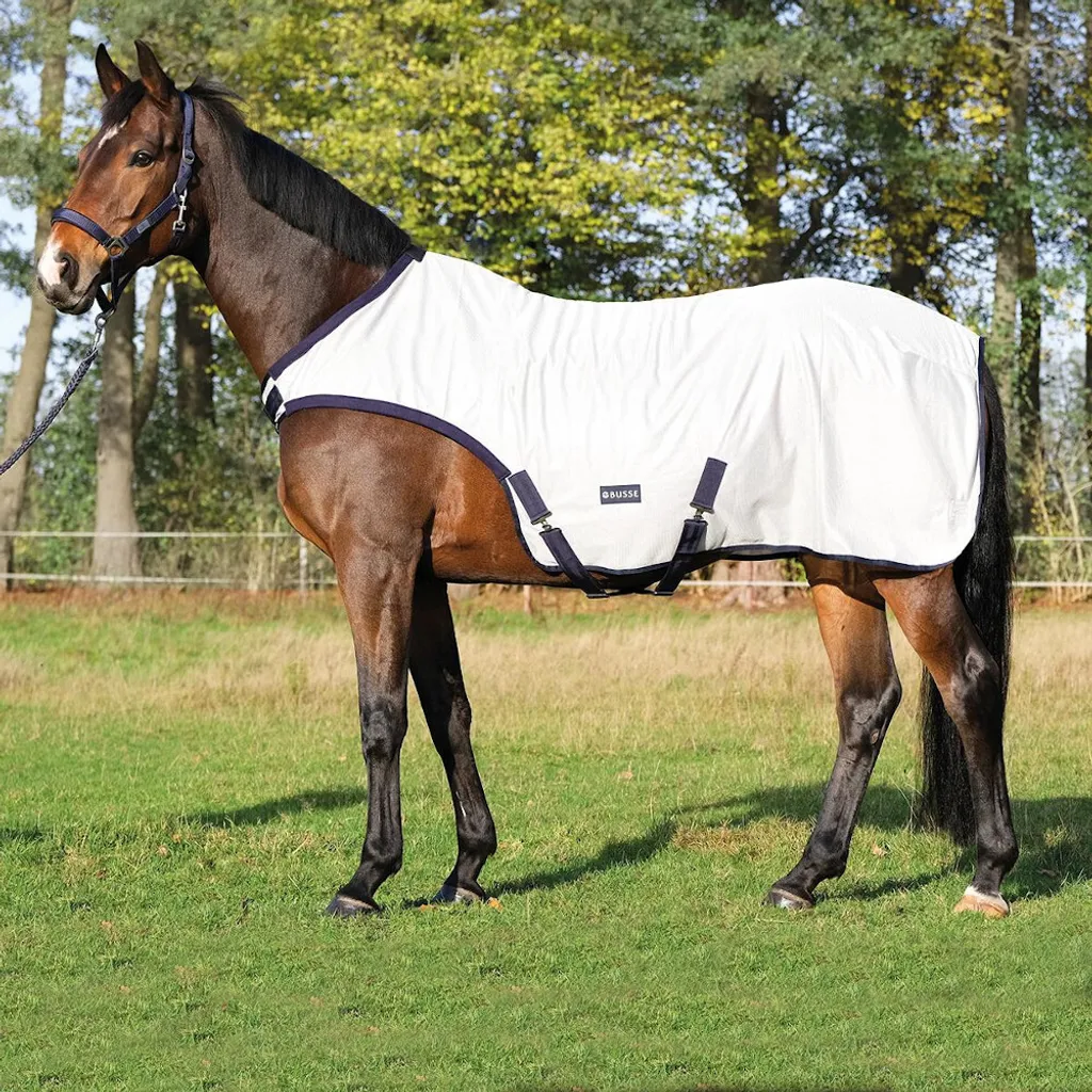 Coperta BUSSE Fly Comfort 155 - Analisi Tecnica per Horse Walker