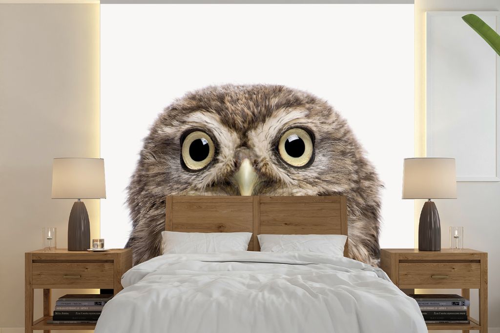 MuchoWow Fototapete für Wohnzimmer oder Schlafzimmer Wandtapete Vinyl Motivtapete Tiere - Eule - Weiß - 220x220 cm - Tapeten