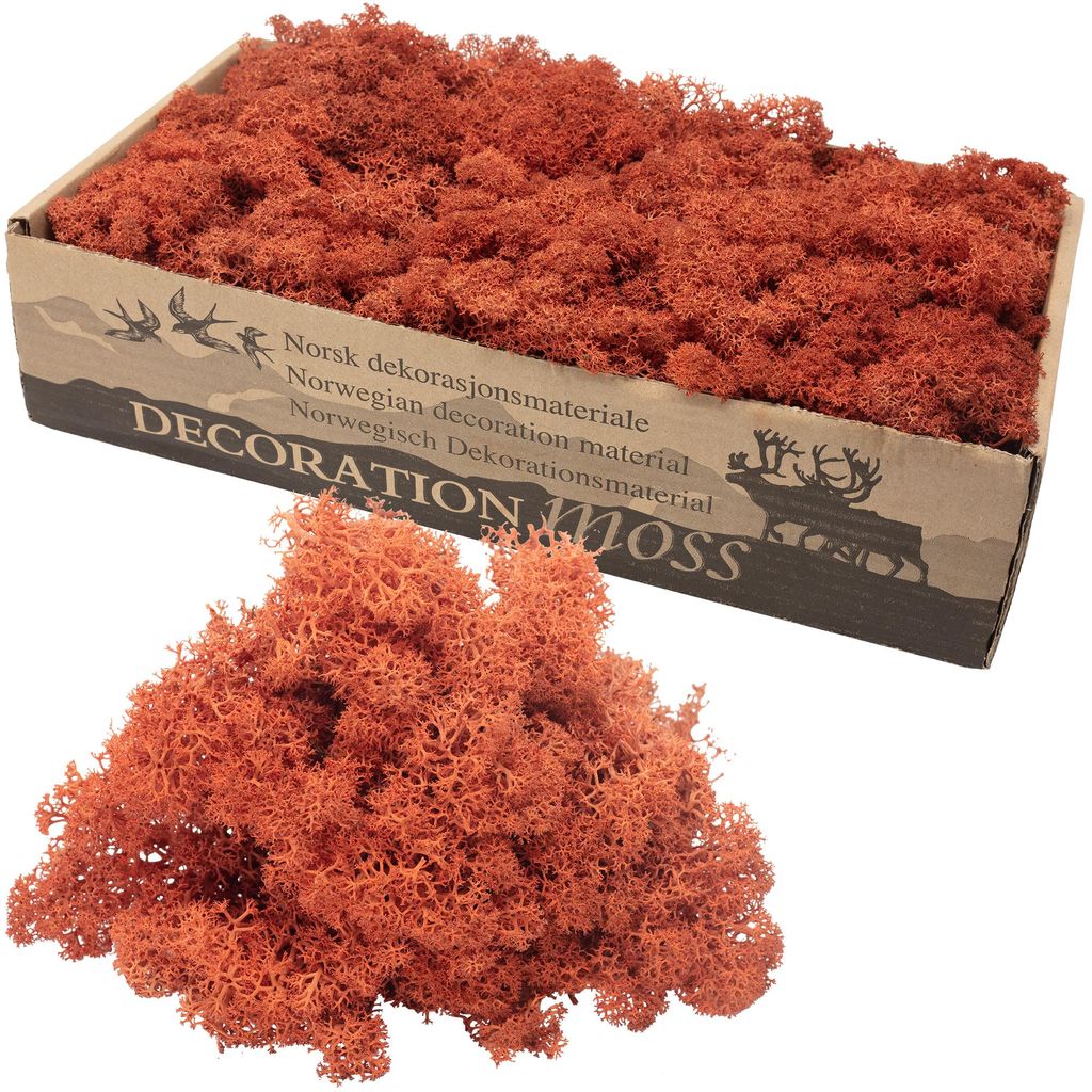 Karton Islandmoos Siena-Rot 500g