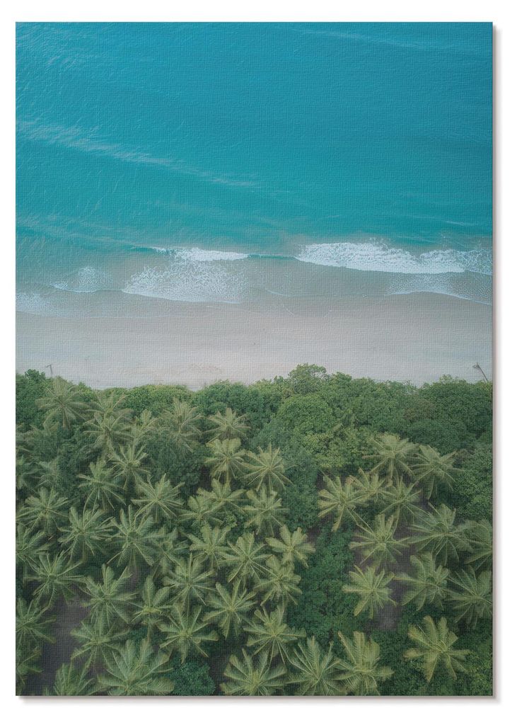 POSTER - 59x84 cm (A1) - Wandal - Strand, türkisfarbene Wellen, Palmen, Harmonie, Frieden - Wandbild für Wohnzimmer Schlafzimmer & Flur, Modernes...