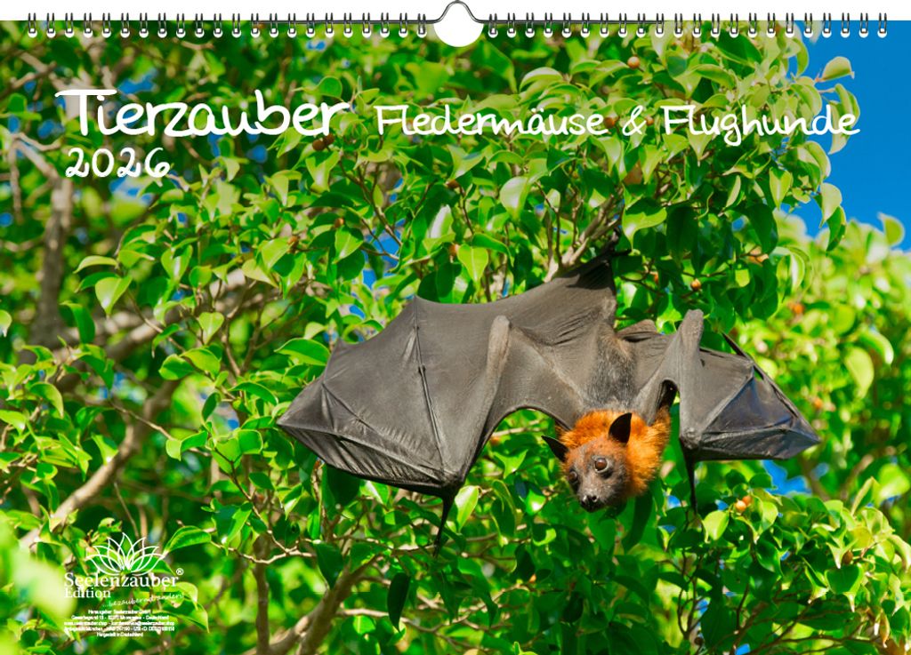 Tierzauber Fledermäuse und Flughunde DIN A3 Kalender für 2026 Fledermaus - Seelenzauber