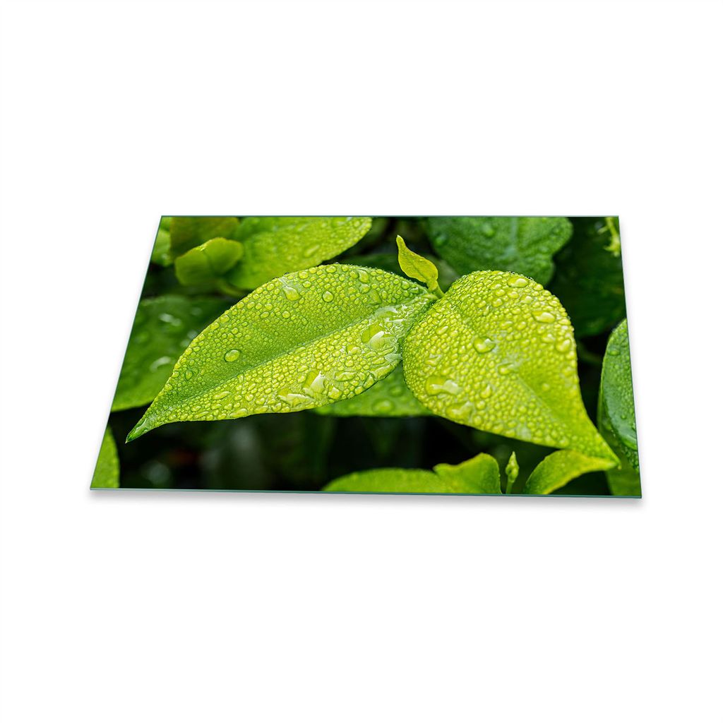 Herdabdeckplatte Glaskeramik 1 Teilig 80x52 Natur Grün Abdeckung Glas Spritzschutz