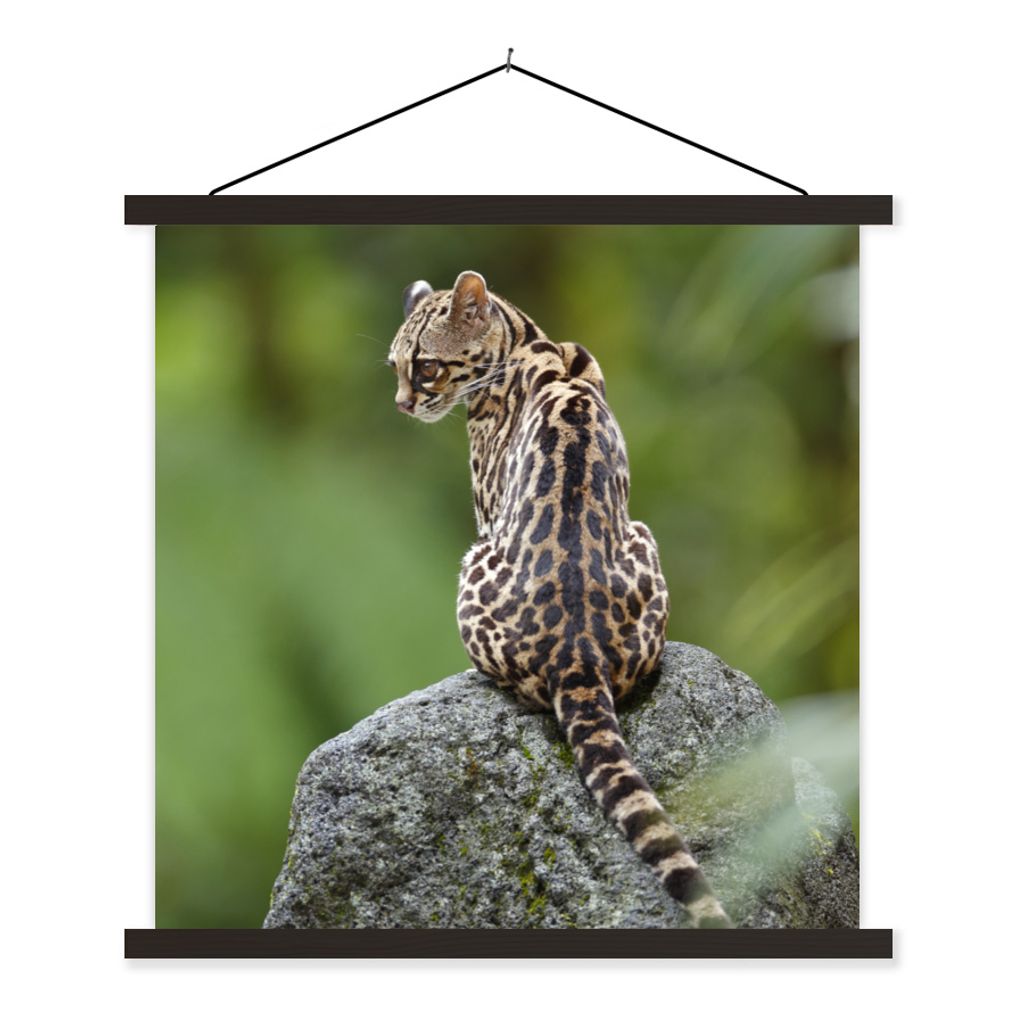 MuchoWow Textilposter Baumkatze auf Stein 60x60 cm mit schwarzem Rahmen - Posteraufhänger