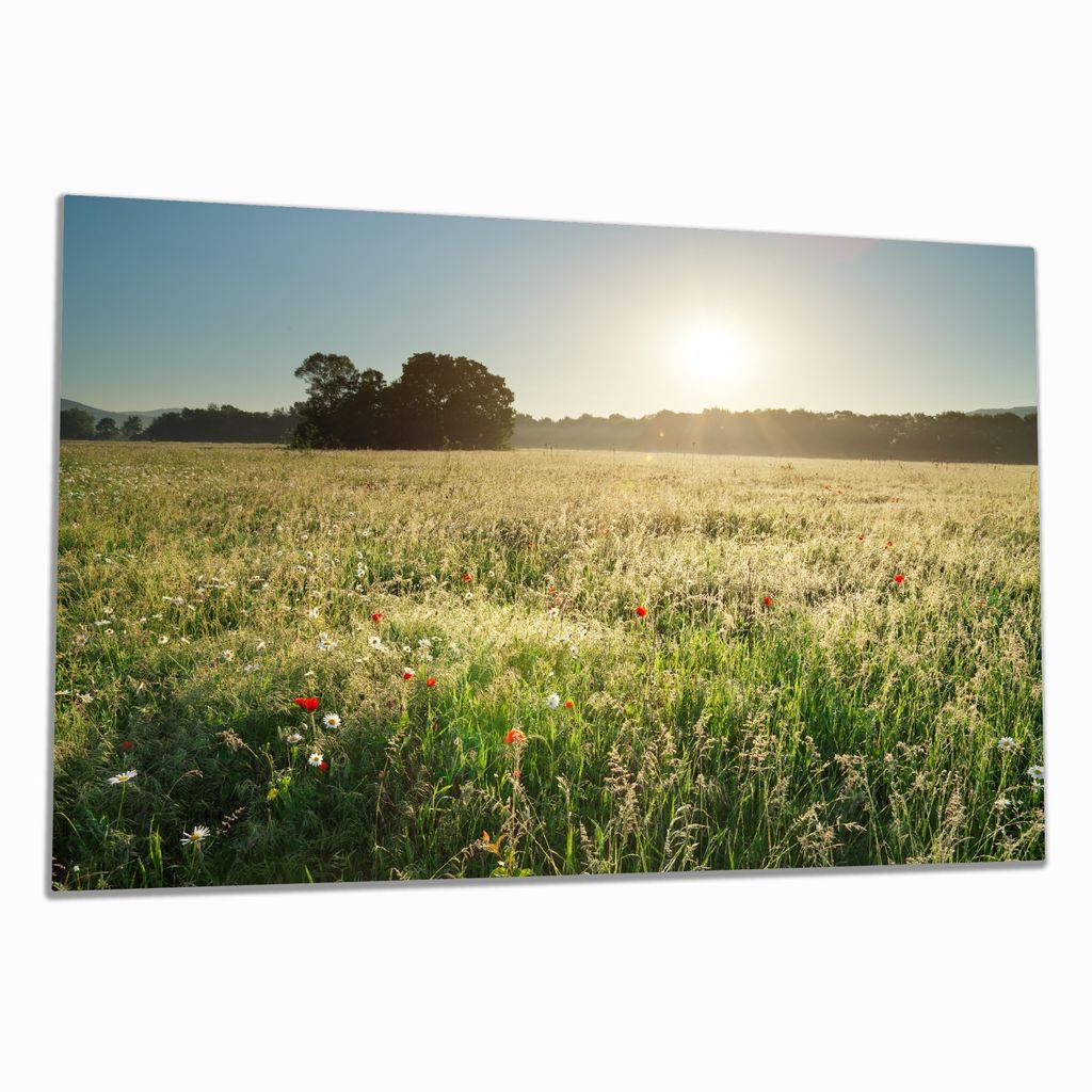 Wallario Herdabdeckplatte aus Glas, Größe 80 x 52 cm 1-teilig, Motiv Wiese im Licht der Abendsonne