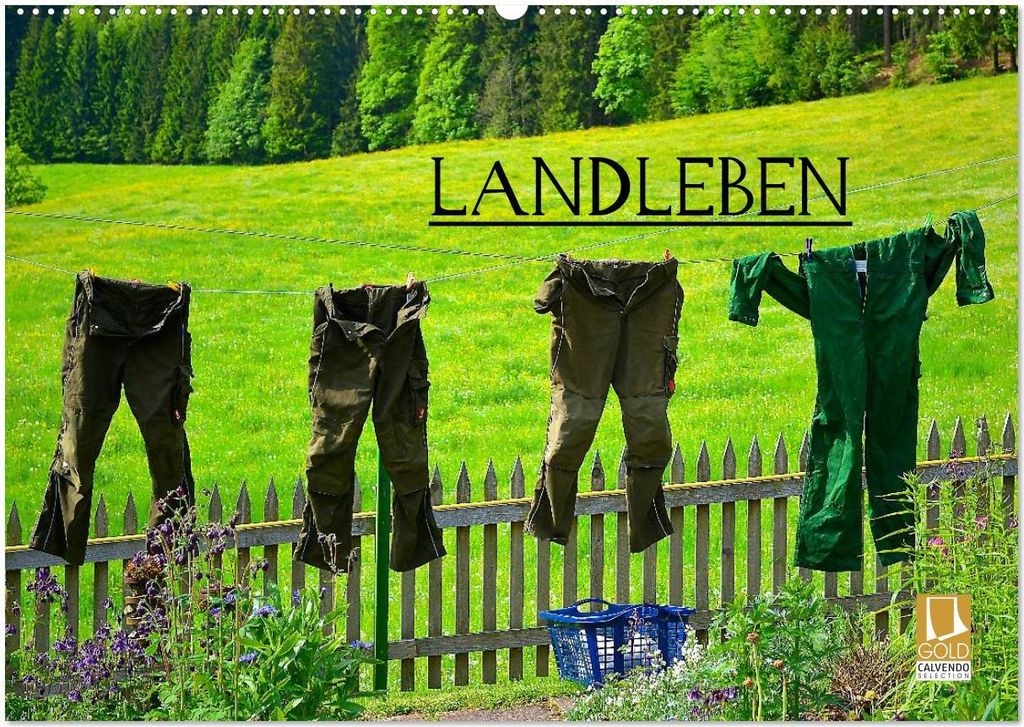 Landleben (Wandkalender 2026 DIN A2 quer), CALVENDO Monatskalender