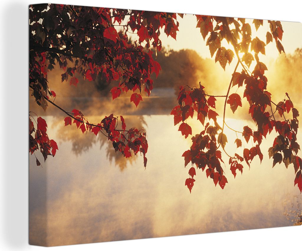 OneMillionCanvasses - Leinwandbilder - 140x90 cm, Herbstlaub in den USA, Wandbilder Kunstdruck Wanddekoration - Foto auf Leinwand - Gemälde auf ...