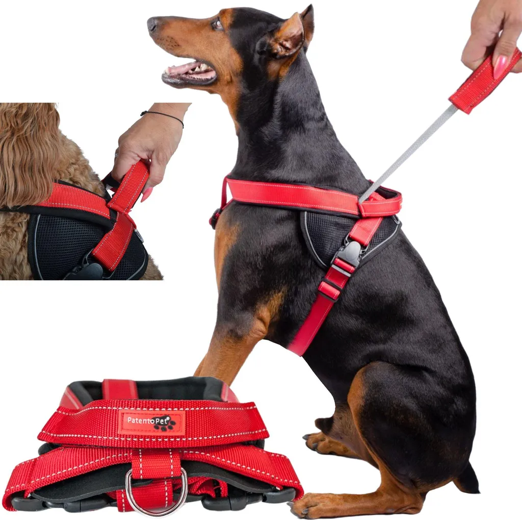 Pettorina L Cane Wobell con Maniglia - Impermeabile e Riflettente