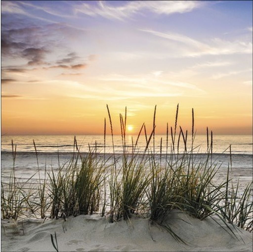 Glasbild Lonely Dune 80x80 cm