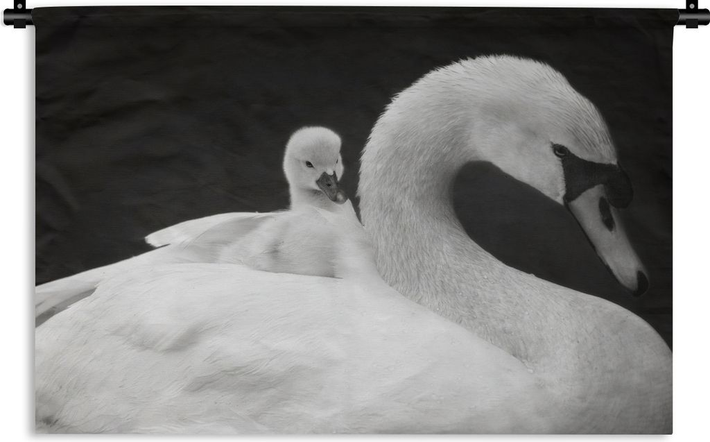 MuchoWow Wandteppich Wandbehang Tierprofil Schwan mit Jungtier in schwarz und weiß 90x67.5 cm Tapisserie Dekoration Wandtuch - Fototeppich - Wan...